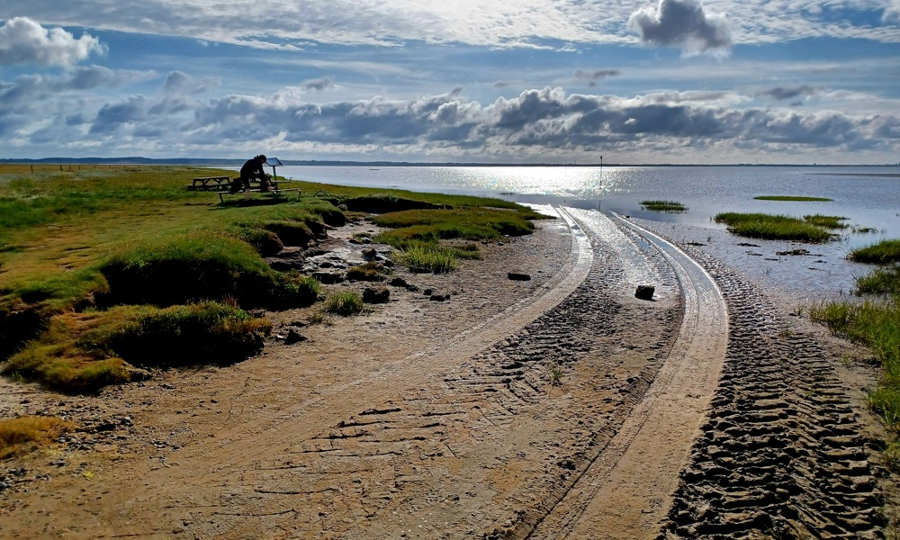 Havblik – vores syn på Vadehavets natur gennem 500 år