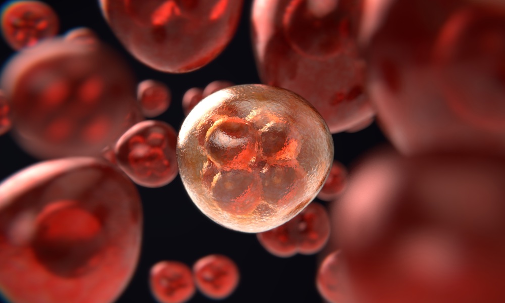 Immunterapi af kræft