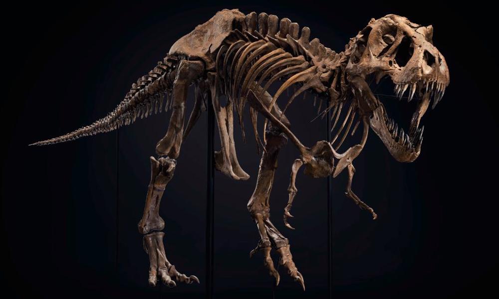 Tag børnene med på Folkeuniversitetet: Dinosaurerne