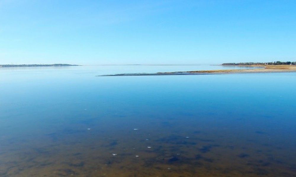 Odense Fjord - Er fjorden død?