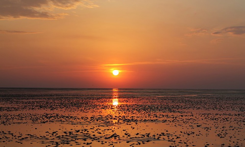 Havblik – Vores syn på Vadehavets natur gennem 500 år