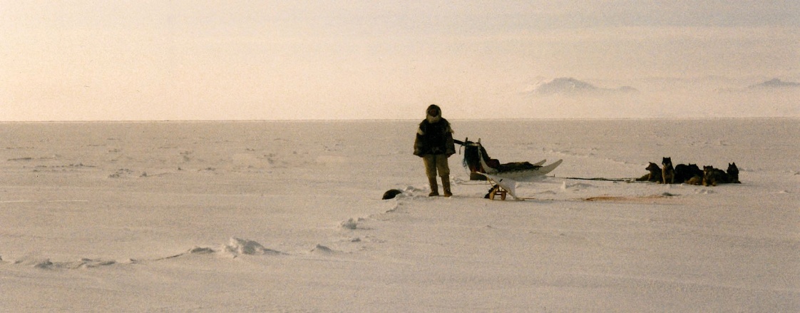 Danske ekspeditioner til Arktis