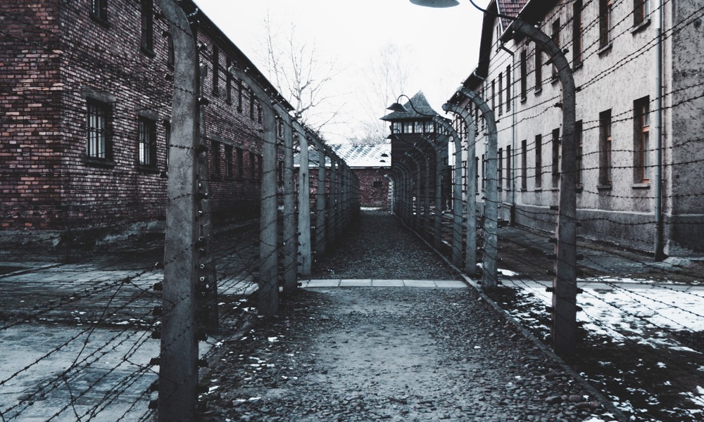Auschwitz: fanger, forbrydere og efterliv