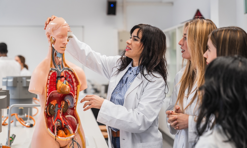 Medicin på ét semester